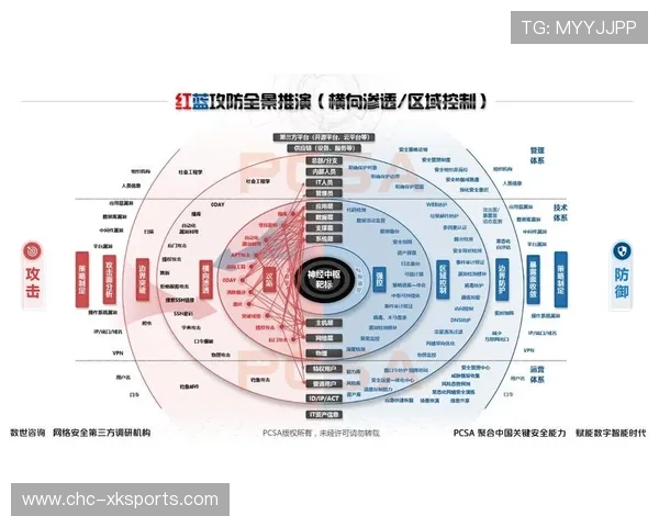 拳击不同级别攻防策略与风格差别